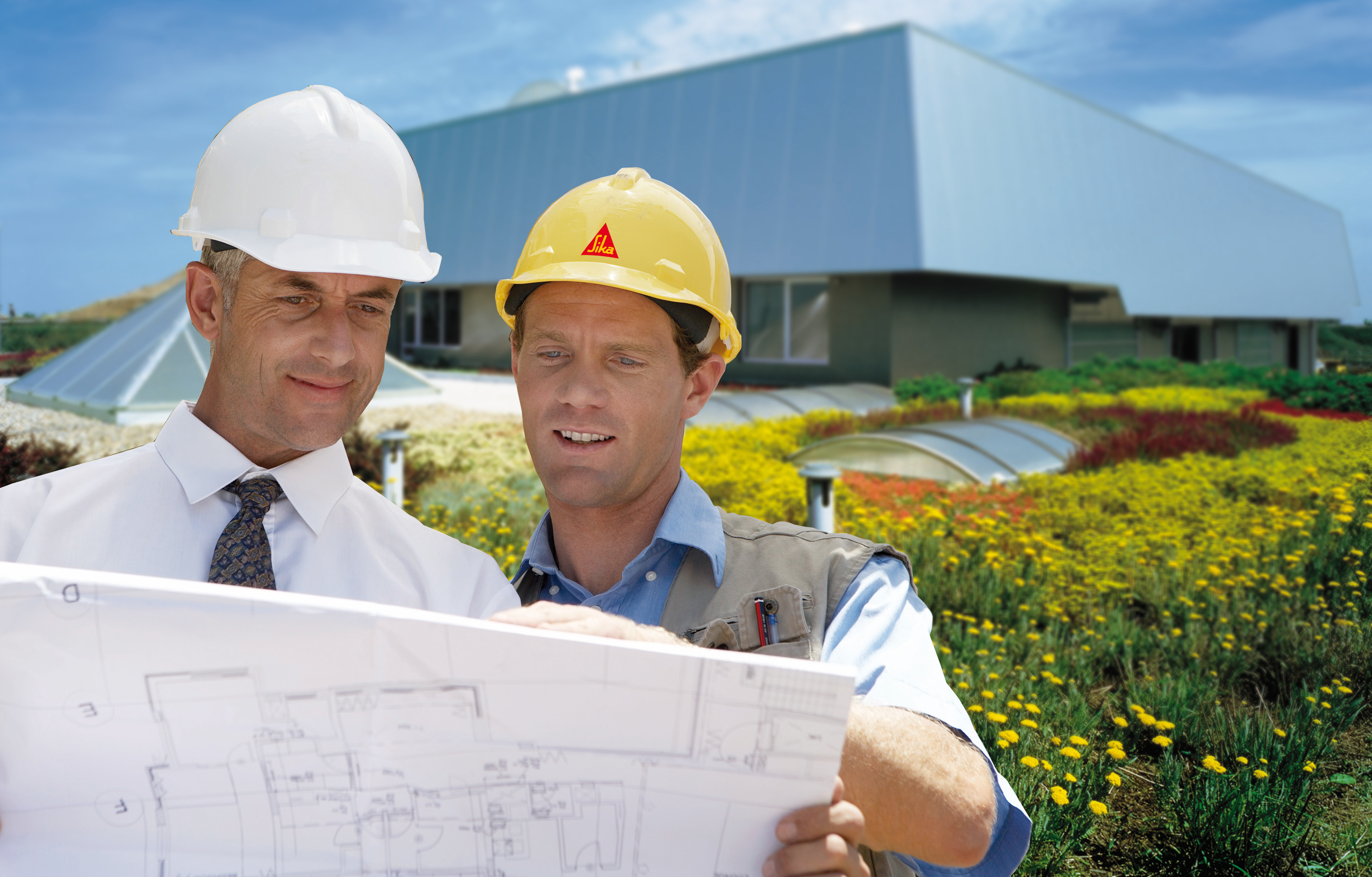 Sika engineer consults architect on green roof